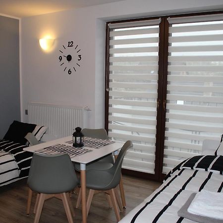 Apartament Fibra Aroma Рибник Екстериор снимка