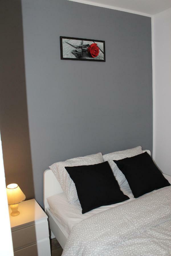 Apartament Fibra Aroma Рибник Екстериор снимка