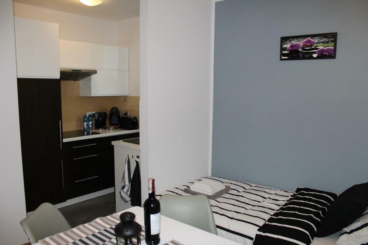 Apartament Fibra Aroma Рибник Екстериор снимка
